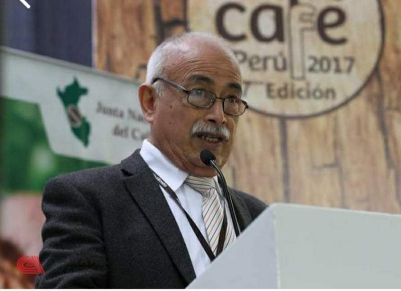 JNC: Se han perdido 55.000 hectáreas de café en los últimos 8 años en Perú