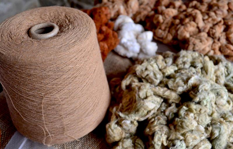 Jóvenes innovadores representaron a Perú en foro científico internacional