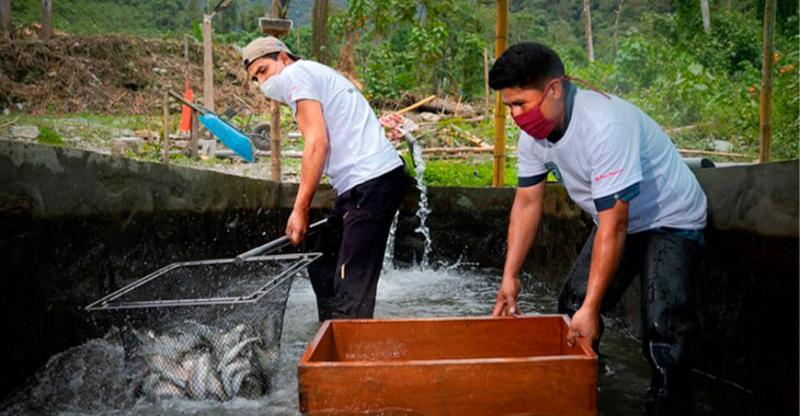 Junín: Inician actividad acuícola en beneficio de 168 familias de Satipo