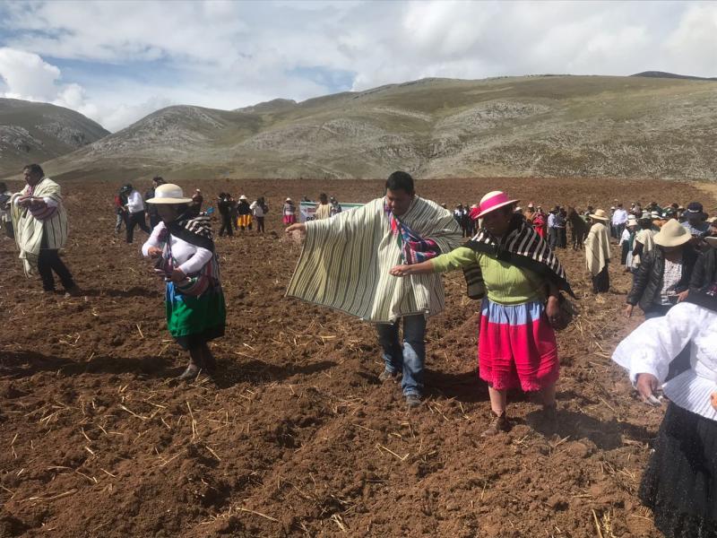 Junín: iniciarán campaña de  siembra de pastos para beneficio de más de 3.000 ganaderos