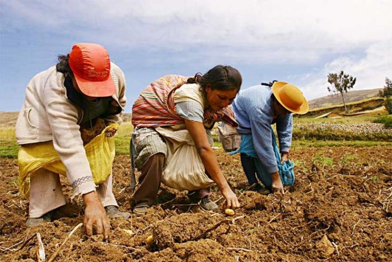 Juntas y comisiones de regantes se convierten en centros de empadronamiento de productores