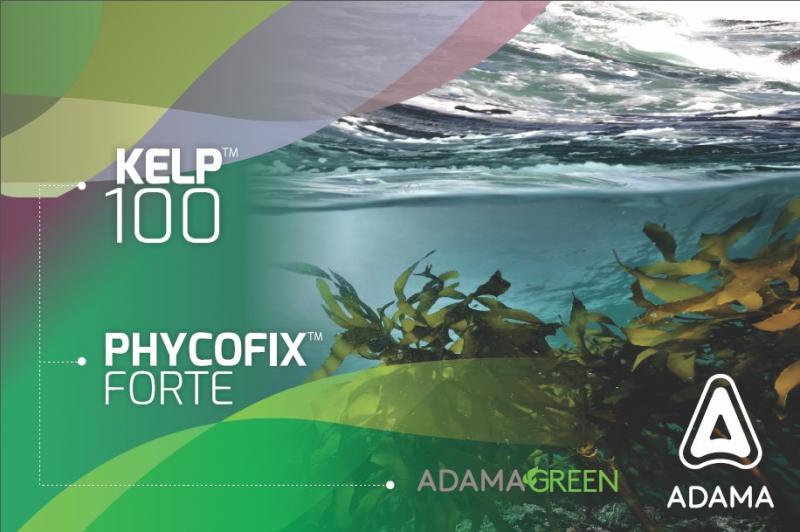 "Kelp 100™" y "PhycoFix Forte™", bioestimulantes naturales que aumentan la productividad y calidad de  los cultivos