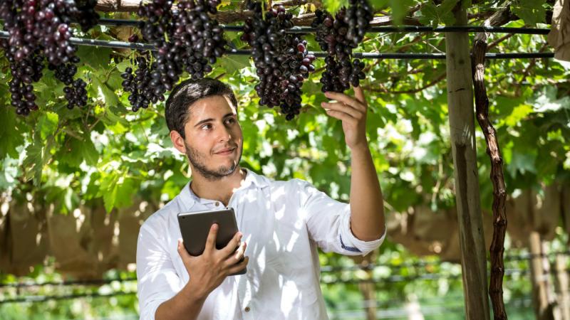 La agroindustria entre los sectores donde suben más los sueldos