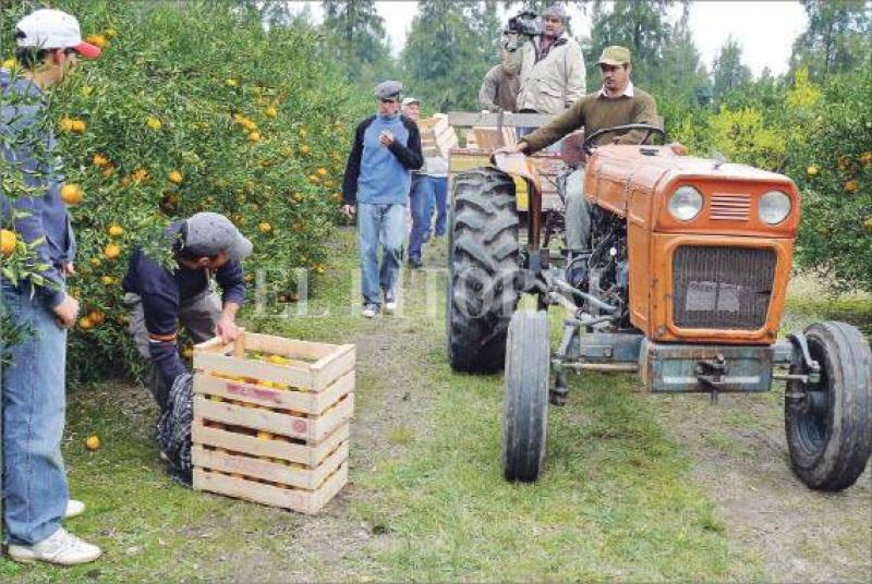 LA ASOCIATIVDAD PUEDE CONVERTIR A LOS PEQUEÑOS EN MEDIANOS PRODUCTORES