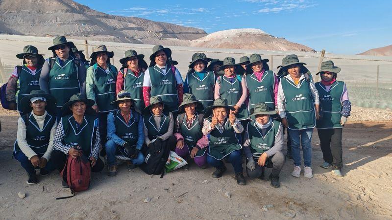 La experiencia positiva de Empresas San Clemente desarrollando arándanos orgánicos de exportación en Moquegua