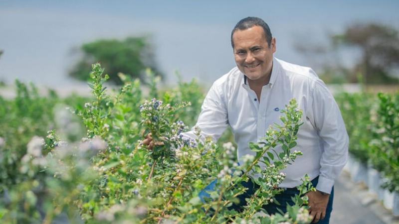 "La industria peruana del arándano ha entrado en la era del sabor"