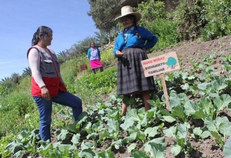 La Libertad: 12.562 familias rurales mejoraron sus ingresos en los últimos siete años