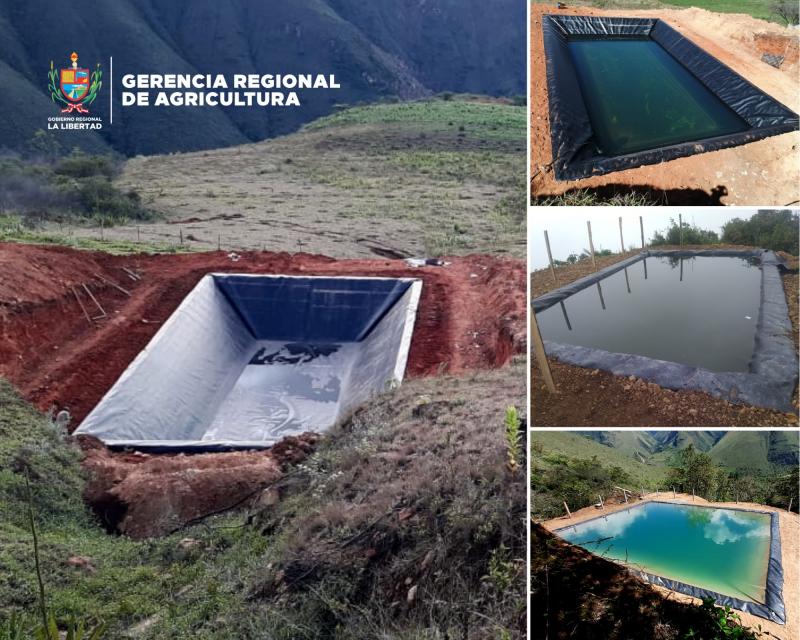 La Libertad: Construyen 506 reservorios en la provincia Bolívar