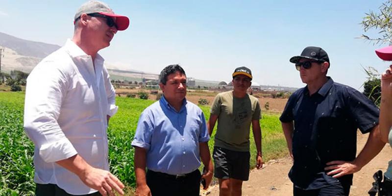 La Libertad: planean dedicar hasta 100 hectáreas a cultivo de marihuana para uso medicinal