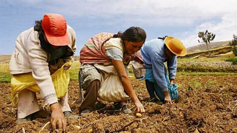 “La mujer productora conduce el 30% de actividades agropecuarias en el país” 