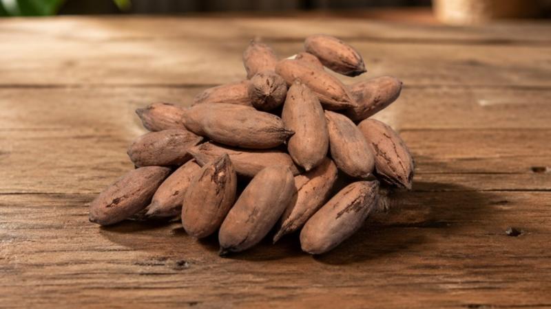 La pecana peruana busca conquistar el mercado chino