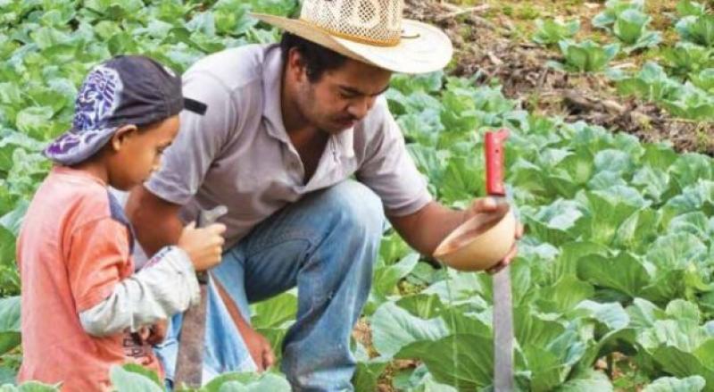 LA PEQUEÑA AGRICULTURA DEBE ACCEDER A INNOVACIÓN E INVESTIGACIÓN EN LATINOAMÉRICA