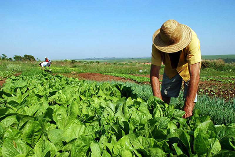 “La reforma agraria destruyó la lógica de las cooperativas”