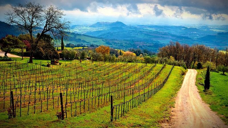 La sequía amenaza a la agricultura italiana 