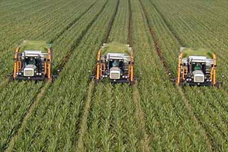 La Unión Europea vive una rápida concentración de la tierra