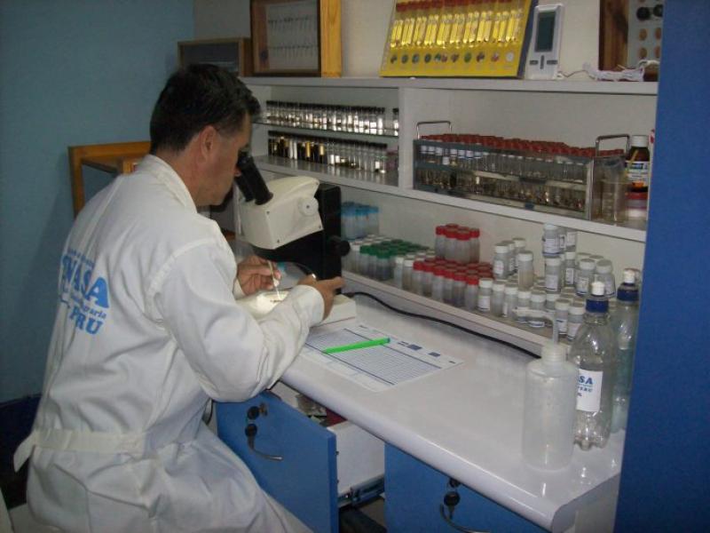 Laboratorios de disección de la fruta ayuda al control de productos de exportación