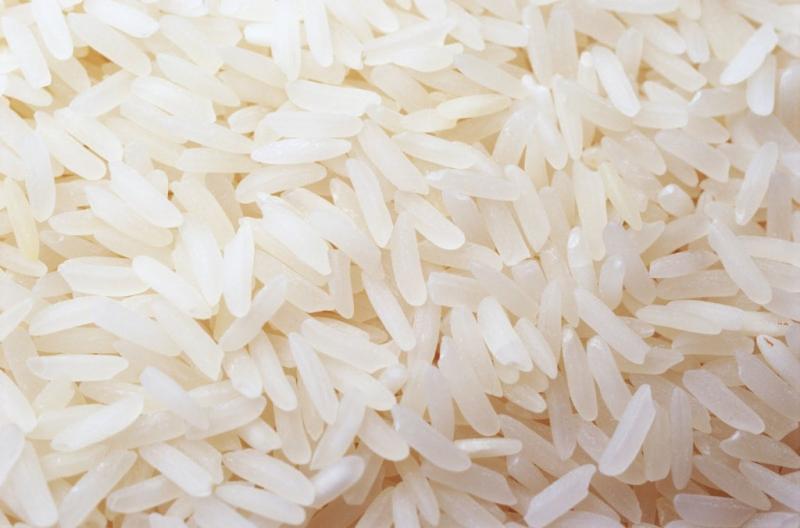 LANZAN NUEVA VARIEDAD DE ARROZ MÁS RESISTENTE A PLAGAS Y QUE CONLLEVA MENOR USO DE AGUA