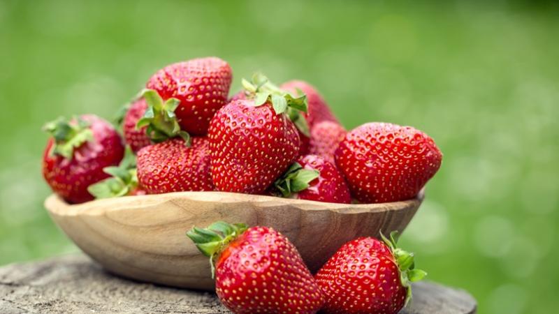 Las fresas, un delicado negocio con potencial en Europa