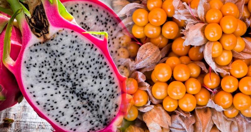 Las frutas peruanas que se alistan para ingresar a Estados Unidos y China