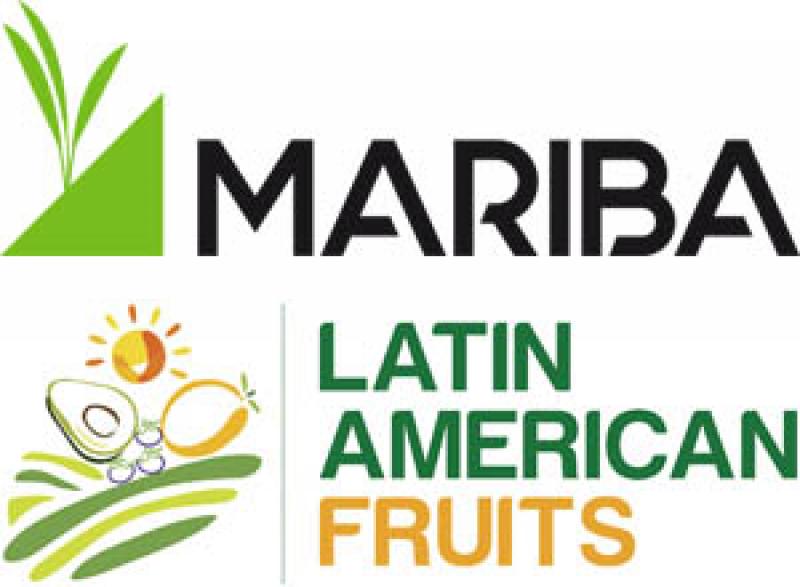 Latin American Fruits apunta a Holanda y España el próximo año