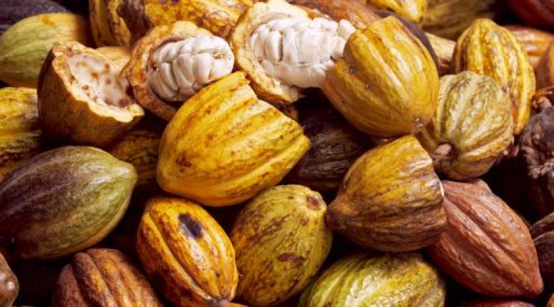 Latinoamérica produce el 80% del cacao prime del mundo