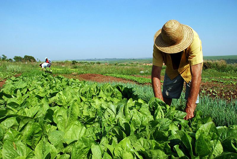 Ley de cooperativas agrarias impulsará productividad y rentabilidad