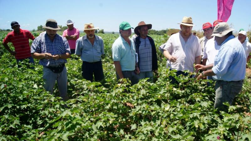 Ley de Extensión Agropecuaria y su Reglamento