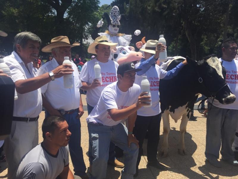 Ley de productos lácteos tuvo jornada de manifestaciones a favor y en contra