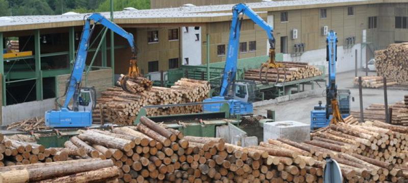 Lima es sede de primera cumbre latinoamericana sobre comercio responsable de madera