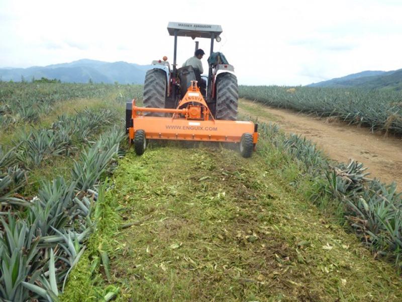 Litec realizará charla técnica online sobre beneficios y ventajas de trituradoras según terrenos de cultivo