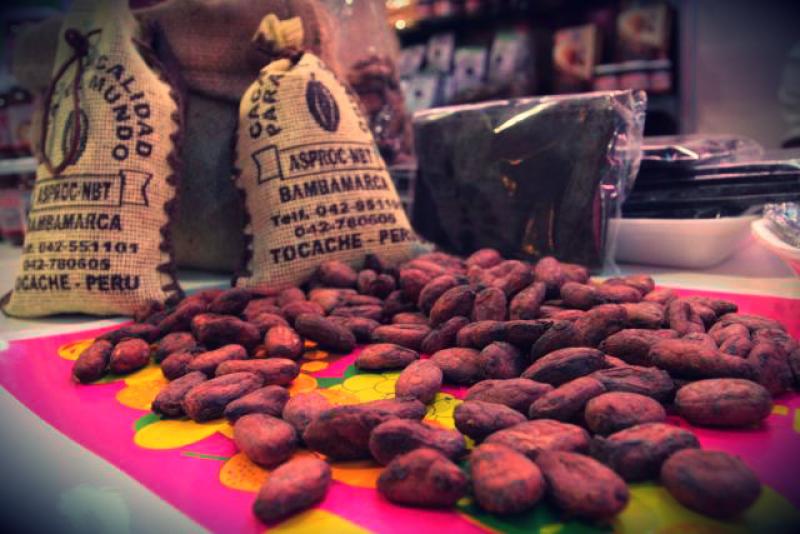 Los plaguicidas y herbicidas nos pueden eliminar del mapa de productores orgánicos de cacao del mundo