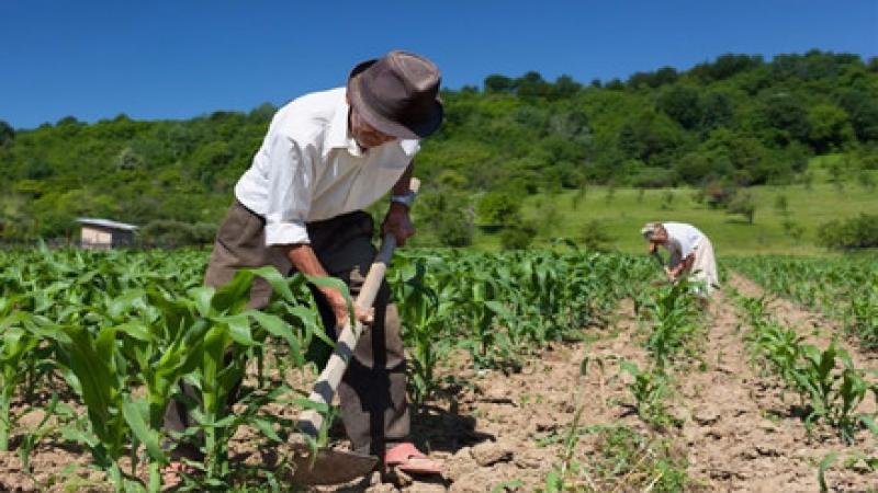 Mañana empieza primera entrega de bonos de mil soles a 500 agricultores de Piura y Lambayeque