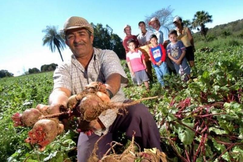 Mañana lanzarán “Decenio de Agricultura Familiar 2019-2028”