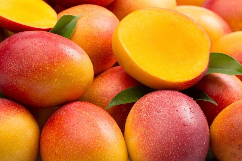 Mango: la fruta más popular del mundo