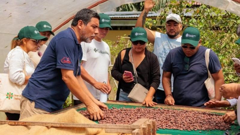 Más allá del chocolate: San Martín apuesta por aprovechar el 100% del fruto del cacao