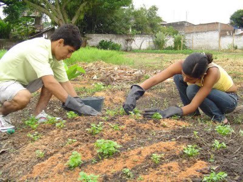 Más de 160 jóvenes se reunirán en Foro Nacional \"Juventud Rural y Agroecología\"