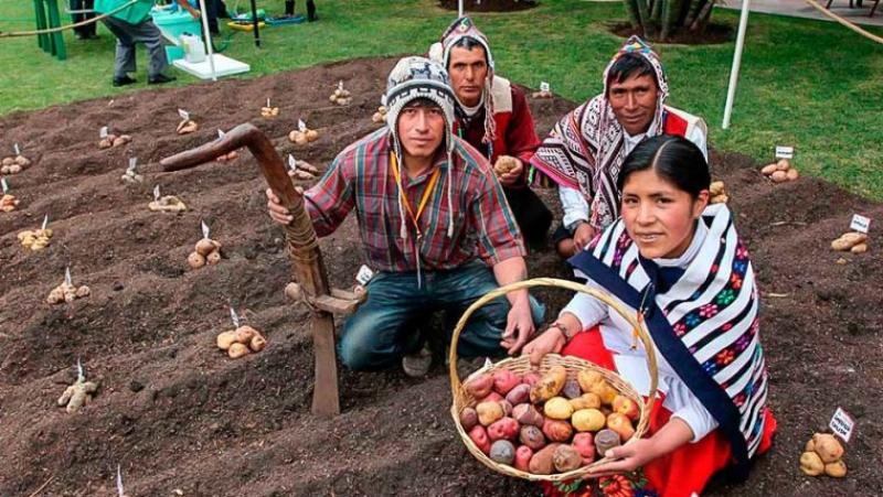 Más de 2 millones de productores alimentan al Perú