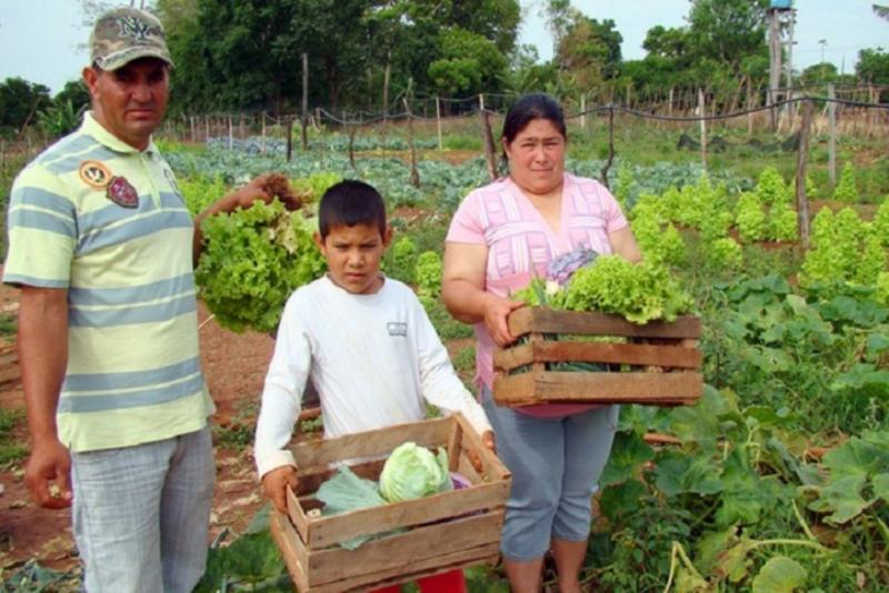 Más de 3,500 productores de agricultura familiar serán potenciales proveedores del Estado