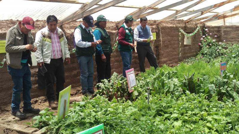 Más de 5400 pequeños productores podrán cultivar hortalizas en zonas vulnerables gracias a fitotoldos