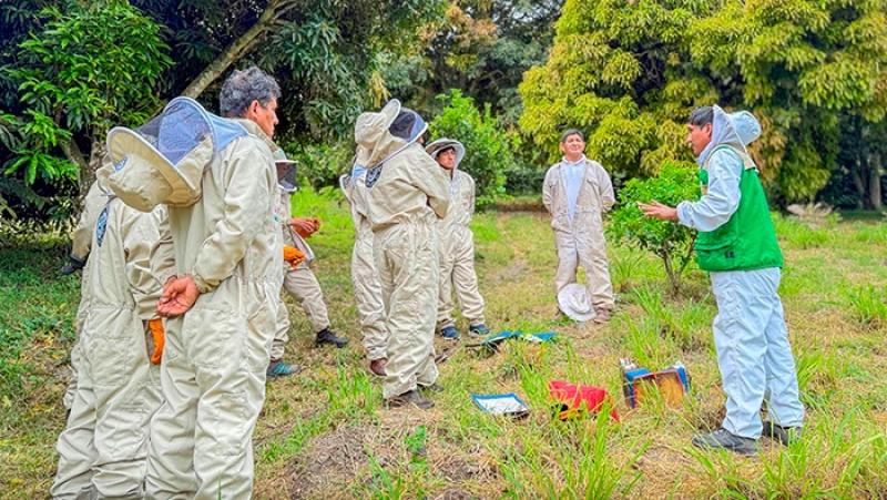 Más de 80 familias apicultoras de Cusco se fortalecen con jornada técnica desarrollada por Devida