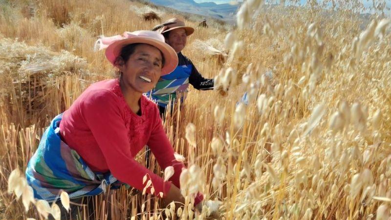 Más de 9 mil mujeres rurales fortalecen sus capacidades productivas con el INIA