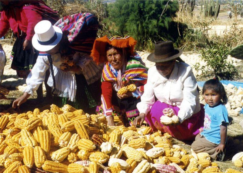 MEF MODIFICA FRANJA DE PRECIOS PARA IMPORTACIÓN DE LÁCTEOS, MAÍZ Y AZÚCAR