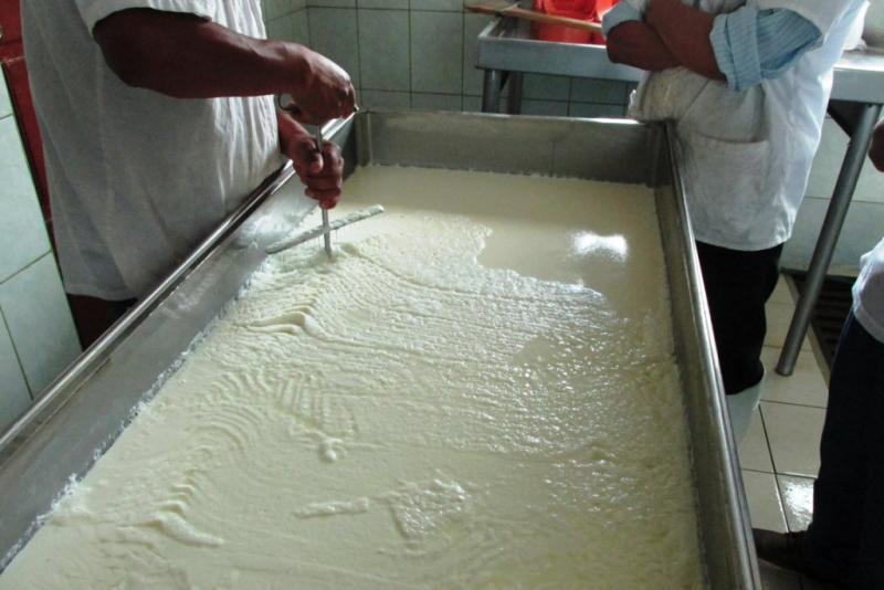 El cuajo en la elaboración de queso