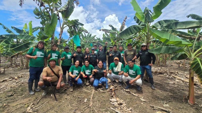 Mejoran la producción de plátano y beneficia a 850 familias del desarrollo alternativo en Ucayali