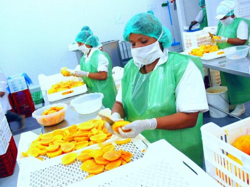 MEJORES PERSPECTIVAS DE MANGO PERUANO EN COREA DEL SUR