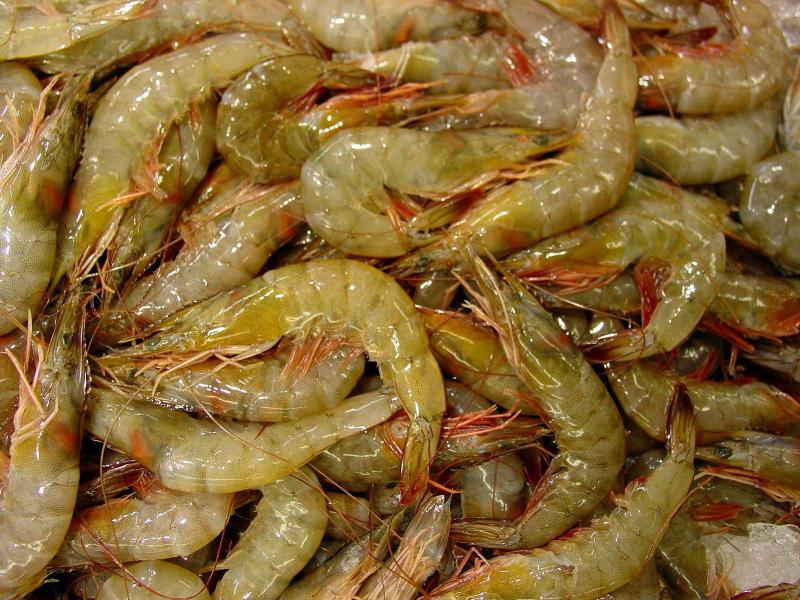 MENOR DEMANDA DE EE.UU. IMPACTÓ ENVÍOS DE LANGOSTINOS