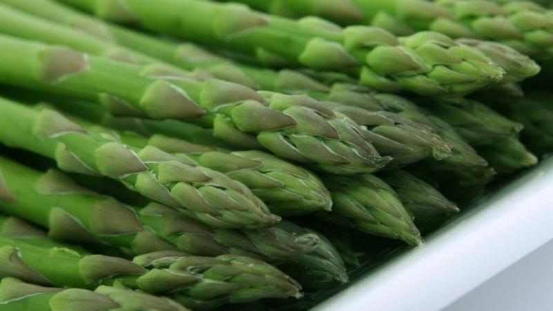 Mercado global del espárrago alcanzó cerca de US$ 26.000 millones en 2024