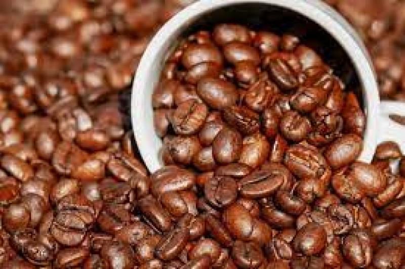 Mercado mundial del café registrará un déficit de 3.1 millones de sacos en temporada 2021-2022