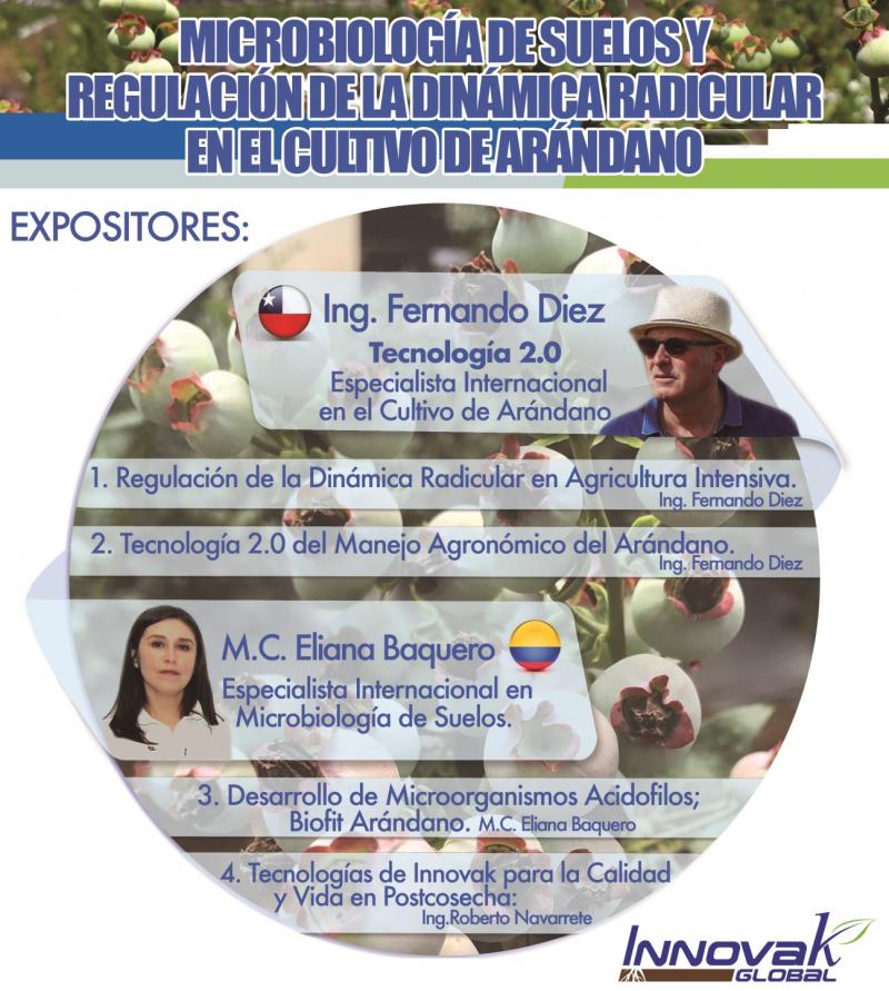 MICROBIOLOGÍA DE SUELOS Y REGULACIÓN DE LA DINÁMICA RADICULAR EN EL CULTIVO DE ARÁNDANO