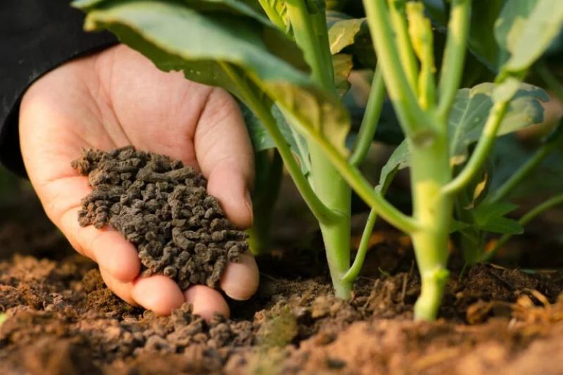 Midagri anuncia lanzamiento oficial de campaña de fertilizantes orgánicos como respuesta a la crisis agraria